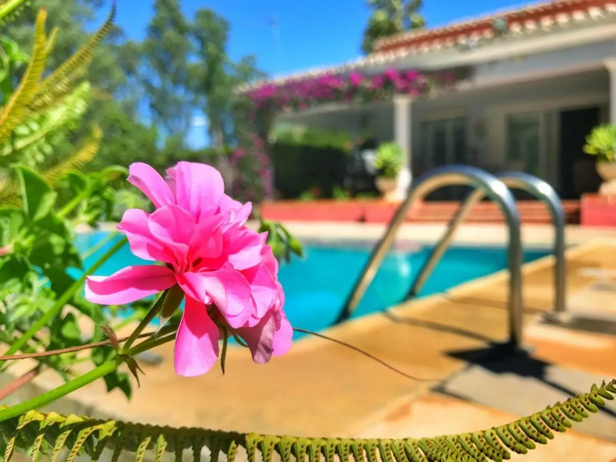 El Nacar Bed & Breakfast Marbella Spanien