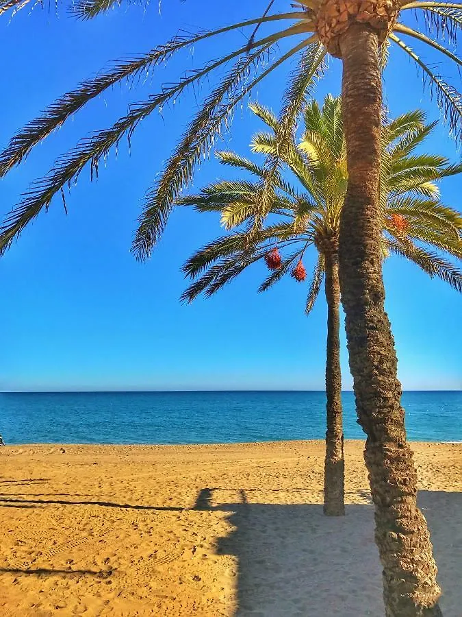 El Nacar Bed & Breakfast Marbella Spain